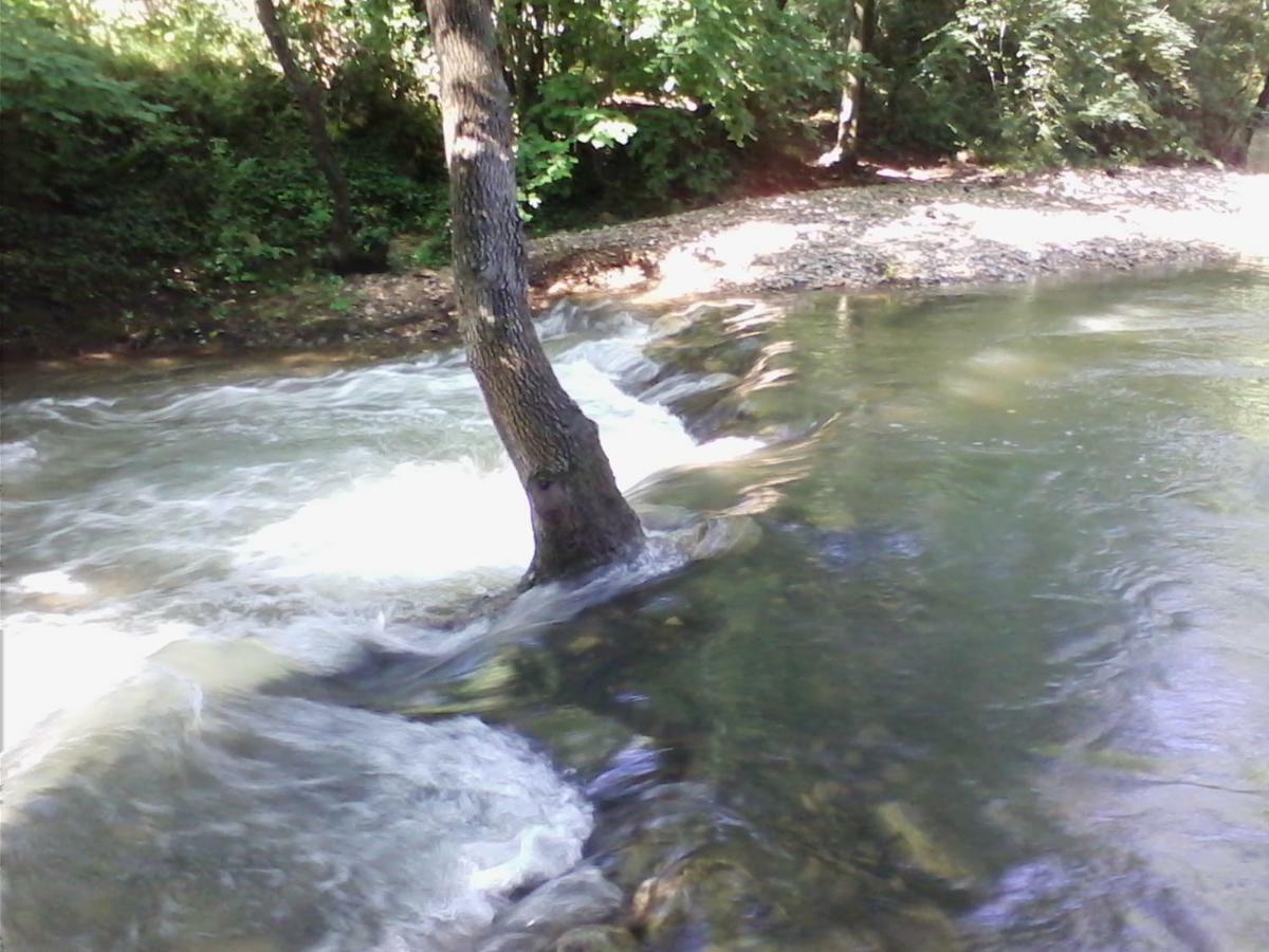 Linda Gorges Du Caramy